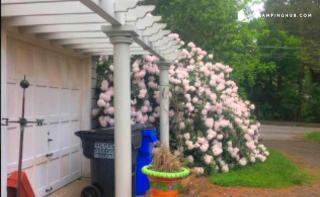 Peaceful and Pet-Friendly Cottage Rental on Picturesque Country Estate near Black Rock State Park, Connecticut - 6