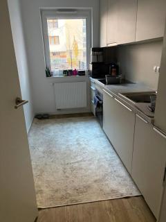 Bokserska Botanika Flat - 3