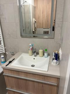 Bokserska Botanika Flat - 1