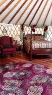Superb Yurt Rental near George Washington National Forest in Luray, Virginia - 7