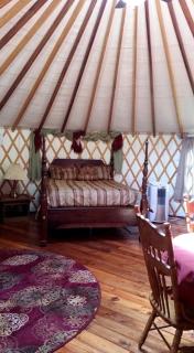 Superb Yurt Rental near George Washington National Forest in Luray, Virginia - Springfield - 1