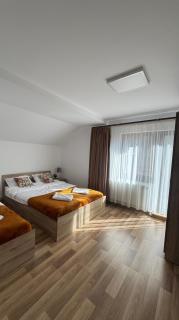 Cabana Stânceni - 5