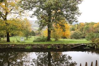 Le Refuge de Bruno - 1