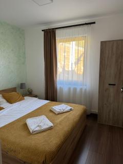 Cabana Stânceni - 6