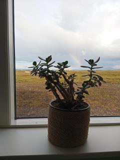 Söruhús - Cozy Apartment, Hot Tub, Peaceful Nature Setting - 2