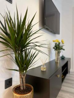 Apartments in Siofok - Balaton 54884 - 1