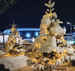 Hotel Bernerhof Grindelwald - 4