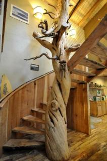 Remarkable Environmentally-Friendly Cabin in Secluded Woodlands near Pacific Ocean, Oregon - 1