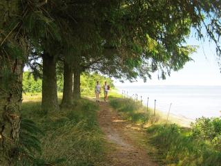 15 person holiday home in Højslev - 3