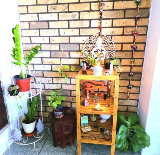 Carnival Zen Den - 1