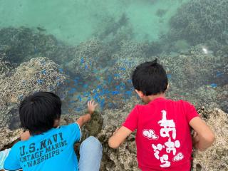 お子様連れ&動物好き大歓迎！産みたての卵を収穫体験できる宿 - 5