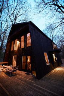 Peaceful Tree House Nestled Away in Hudson Valley, New York - 5