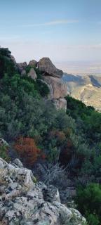 Thilimba Holiday Home - 1