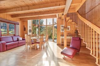 Skiblickhaus - Russbach am Pass Gschütt - 4