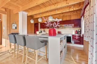 Skiblickhaus - Russbach am Pass Gschütt - 2