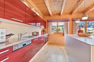 Skiblickhaus - Russbach am Pass Gschütt - 1