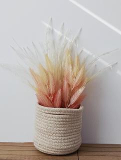 El rincón zen- Suite independiente con baño privado y kitchenette - 5