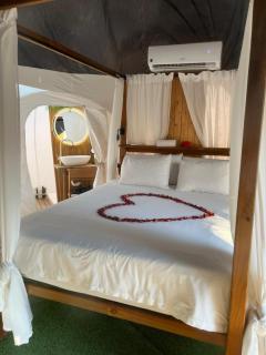 Glamping Burbuja Los Almendros - 9