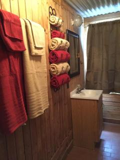 Rustic Cabin Rental on Conejos River in San Juan Wilderness, Colorado - Antonito - 4