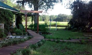 Fabulous and Unique Tree House Rental for Romantic Glamping in Florida - 6