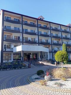 Girska Tysa Health Resort - 3