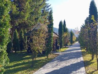 Girska Tysa Health Resort - Kvasy - 1