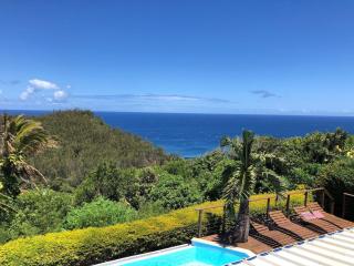 Villa spa Grand Anse - 3