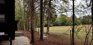 Stylish Tiny House for Glamping in South Carolina - 6