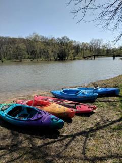 Rustic Bus Accommodation Perfect for Glamping in Missouri - 3