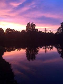 Rustic Bus Accommodation Perfect for Glamping in Missouri - 1