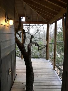 Luxury Tree House Rental in Lindale Ideal for Glamping in Texas - 5