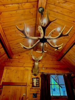 The Dapper Duck Log Cabin - 4