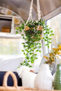 Beautiful Airstream Glamping Site for Romantic Weekends Away in North Carolina - 9