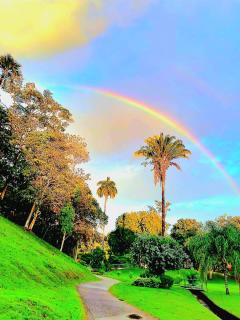 Carnival Zen Den - 8