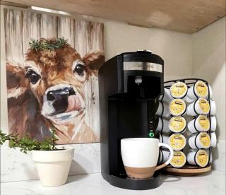 Coastal Escape in a North Carolina Bell Tent in Calabash - 3