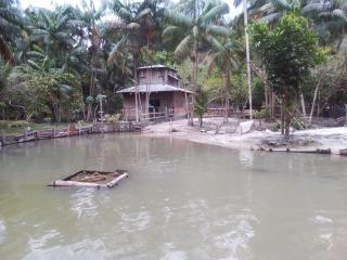 Sítio do guerreiro - 2