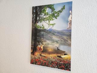 The M GuestHouse - 7