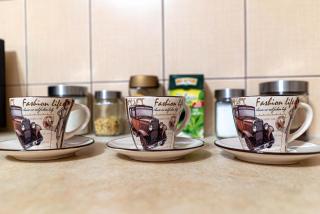 Apartament LUX Franciszkańska, Przemyśl - 9