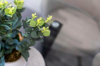 Harbour Hideaway - 5