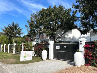 Tree Aloe Guest house - 5