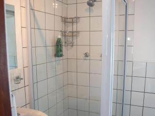 Tree Aloe Guest house - 3