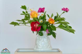 Villa Rosa with Air Conditioning and Lake View - 1