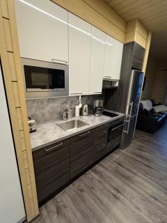 Ellivuori Chalet 5, Chalet Rauta - 1