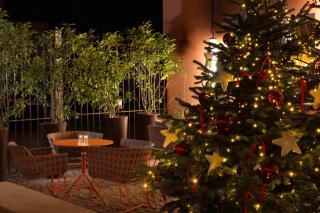 Hôtel Du Dragon - 8