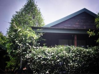 Cinnamon & Sage Country Cabins - 3