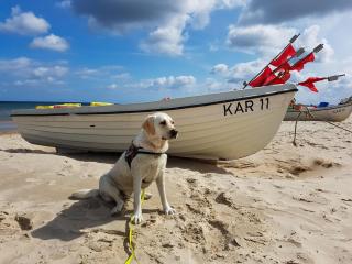 Karlshagen, Ferienapartment Meerzeit - 4