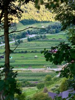 Casa din Pripoară - 7