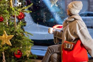 Hôtel Diana Dauphine - 5