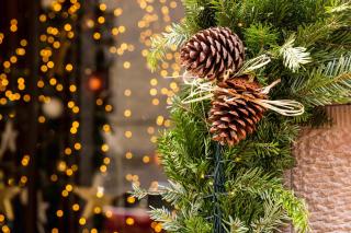 Hotel Le Colombier - 8