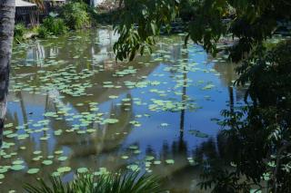 Villa Oasis Luang Prabang - 5